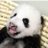 飛梅のアイコン