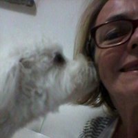 Maria Celia Steola (@mceliasantos) 's Twitter Profile