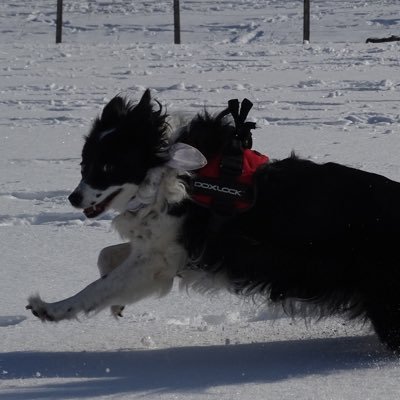 Maria84509736's profile picture. 