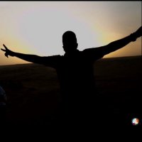 GADO جادو (@jadopoint) 's Twitter Profile