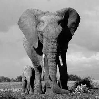 andrew_obaga's profile picture. News World News World News Government & Politics International Politics Technology & Science