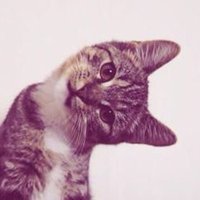Dude (@hundreddude) 's Twitter Profile