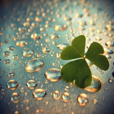 Keyven9's profile picture. Mahilig Sa Bagets/Binata. DM me.||Manila
*Kung may presyo pagusapan naten yan.*