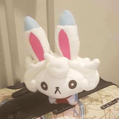 메메さんのプロフィール画像