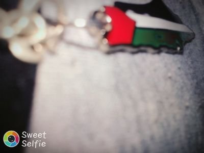 HamzaSamaha1's profile picture. I