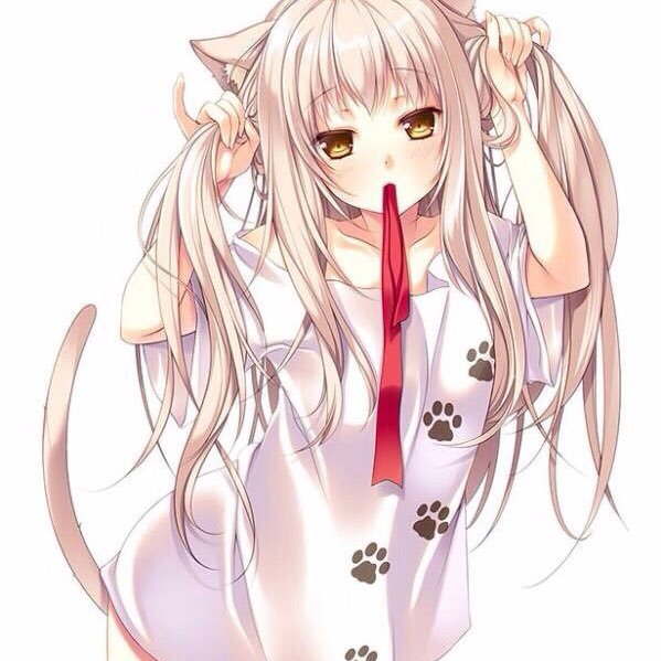にゃんこ┊︎相互フォロー垢さんのプロフィール画像