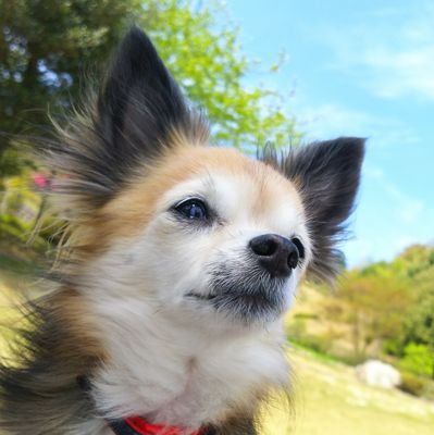 j4ytja's profile picture. FGOフレンド募集してないです