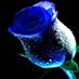 rajeshwari (@rjeshwari) Twitter profile photo rajeshwari (@rjeshwari) Twitter profile photo