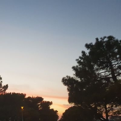 iamacsplayer's profile picture. I like cookiez , thats about it