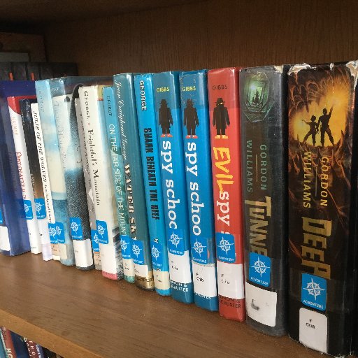 A dynamic elementary school library