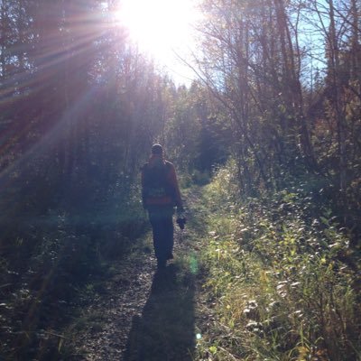 annap3's profile picture. fent sal amb perspectiva de gènere i interseccionalitat