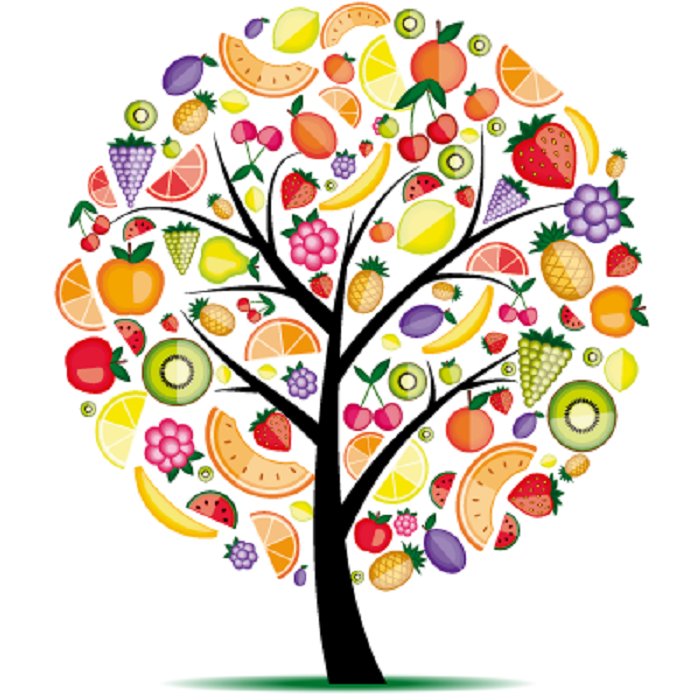 *VIVE UNA VIDA SANA*  una buena formula para llevar un estilo de vida saludable