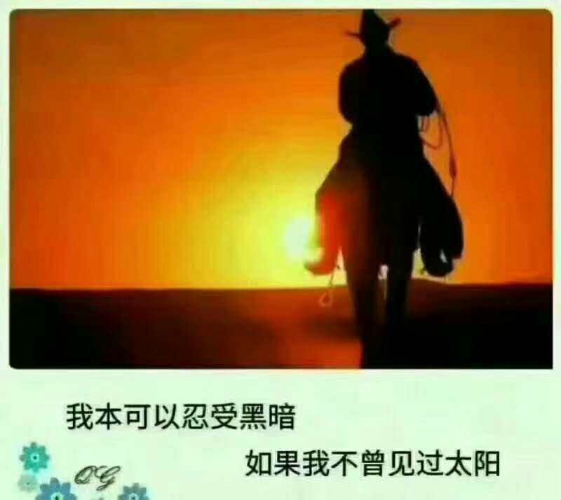 zR2wvavo3mYgNOO's profile picture. 你在那頭 我在這頭// 我是中國 中國是我// 雲在天上 鳥在風中// 何須問風 這世界難道 總由那風來統治嗎？// 這是什麼時代了 這個世界應該是屬於人的啊！