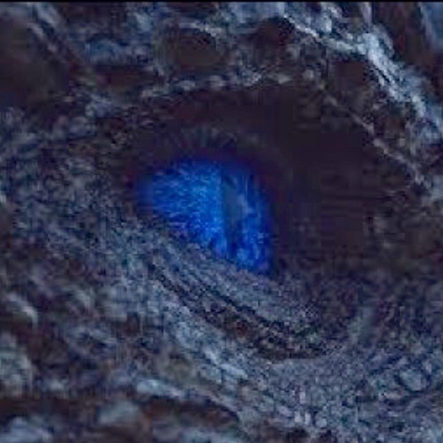 gfoss1986's profile picture. 