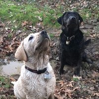 NWend (@ninawend) 's Twitter Profile