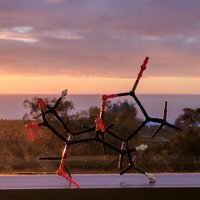 Shenvi Lab (@shenvi_lab) 's Twitter Profile