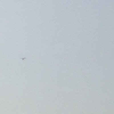 dyyyyedi's profile picture. 