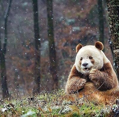 Ali29935387's profile picture. 