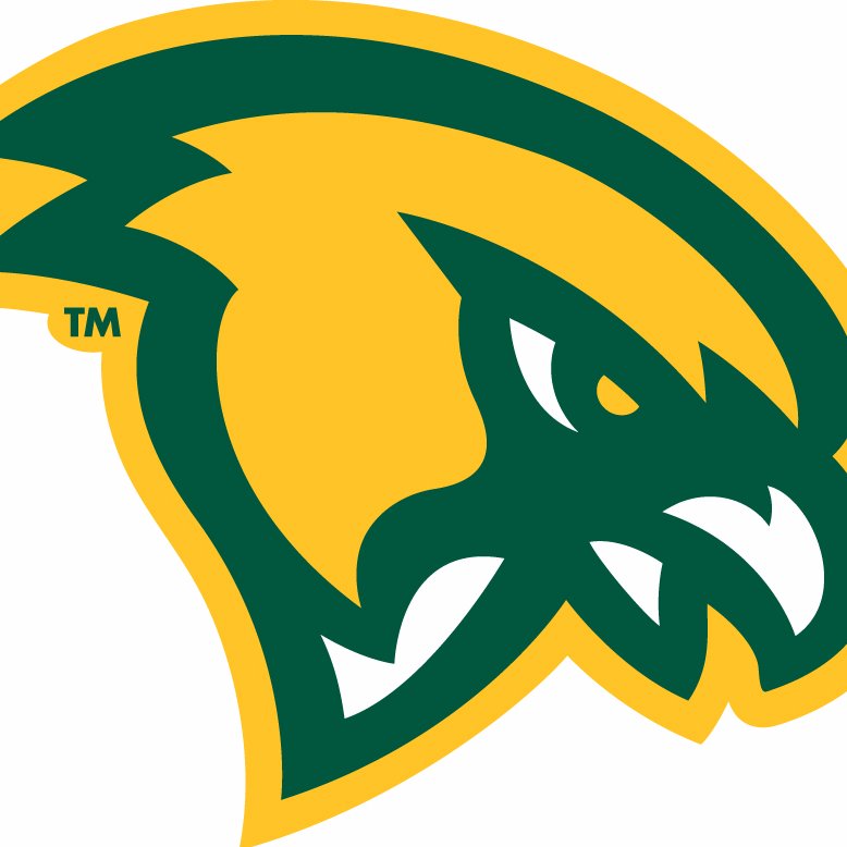 FSUFalconsWVB Profile Picture