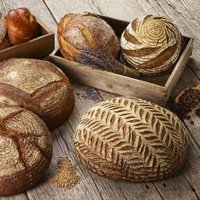 GratefulBreadDenver (@gratefulbreadde) 's Twitter Profile