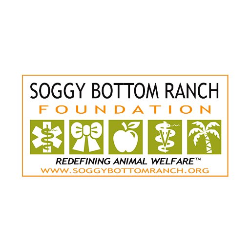 SBR_Foundation's profile picture. National 501c{3] IRS Tax Exempt Animal Welfare Foundation focusing on Veteran Services. CAMP ANIMAL, https://t.co/IB12qGWyjv, ANIMAL SANCTUARY