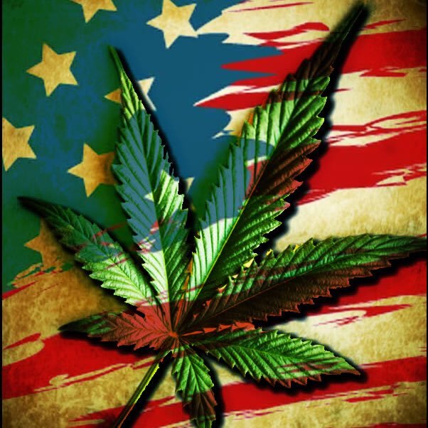 lord_z00n's profile picture. #rövidazéletezértegyélsoksütit