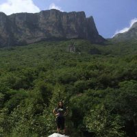 Gloria Aguirre (@msaguirrecmsn) 's Twitter Profile