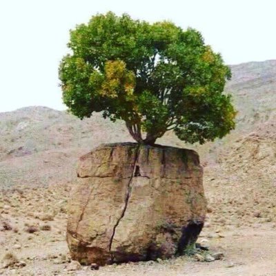 اللهم لاتدع لي هماً إلا فرجتة ولاديناً إلا قضيتة ولا زرقاً إلا يسرتة اللهم ان كان رزقي في السماء فأنزلة وإن كان في الأرض فأخرجة لي، اللهم اني وكلت أموري كلها لك