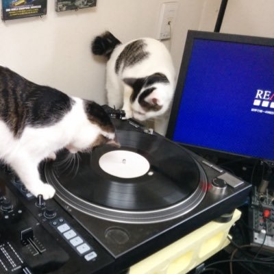 本垢 @djkiyya 趣味は自作PC・タイピング・DJ 全日本タイピスト連合にいたりするのでタイピングサミットで手伝いしてます。DJでTLがやばいのでTL追っかけ用です。
