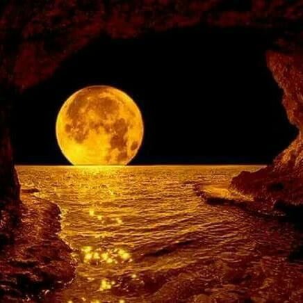 LupitaMacias246's profile picture. Nunca dejes que otros te digan que hacer