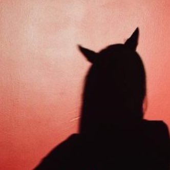 fakelifeboards's profile picture. 🌹🍑🍯🍾🦋🔮