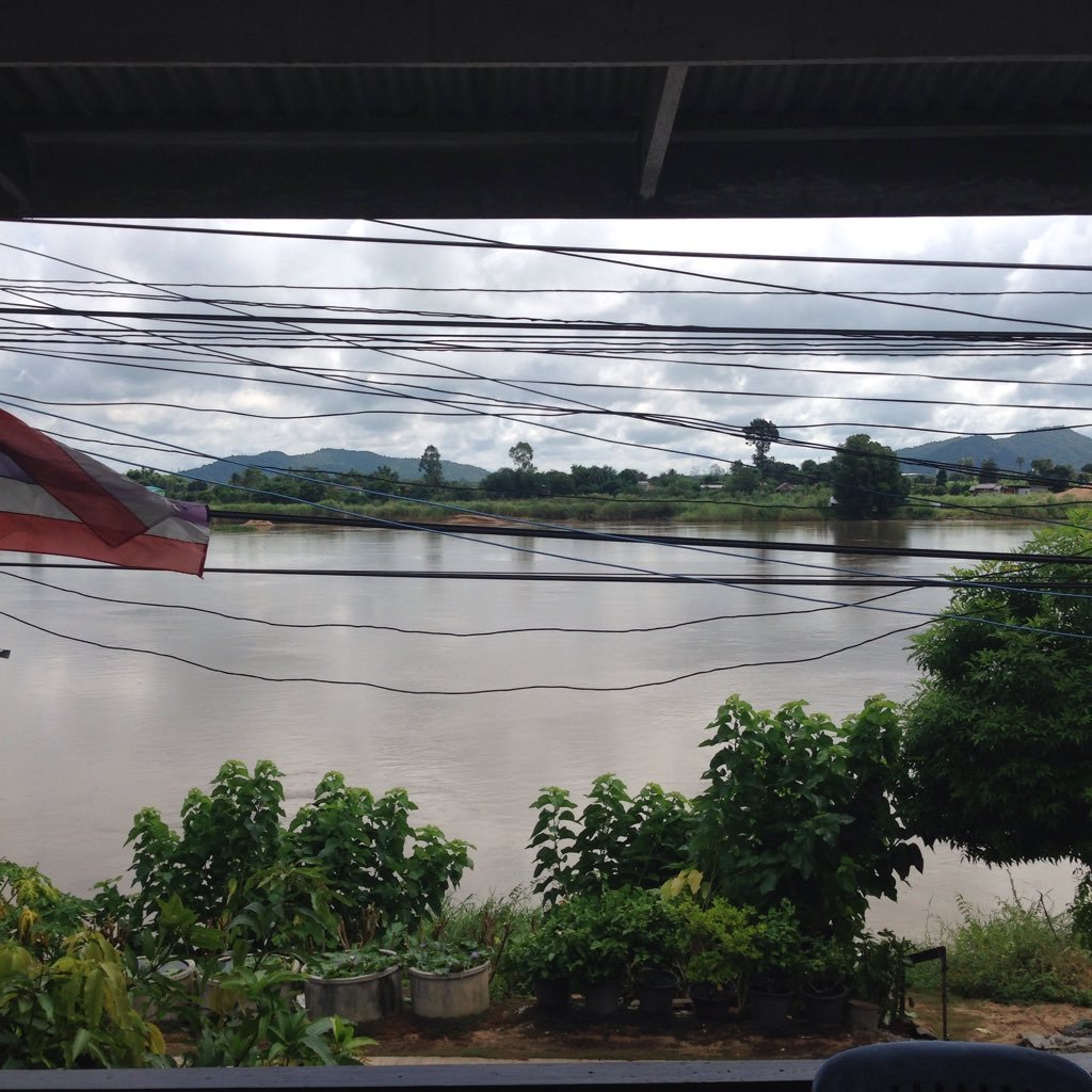 capella445's profile picture. กบในกะลาใบเล็ก