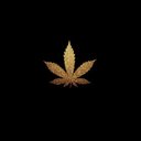 Mario Pinales - @MarioPinales9 - Twitter