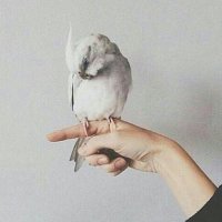 . (@oooz_x) 's Twitter Profile