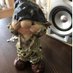 Wendy Findlay (@wendyfindlay2) Twitter profile photo Wendy Findlay (@wendyfindlay2) Twitter profile photo