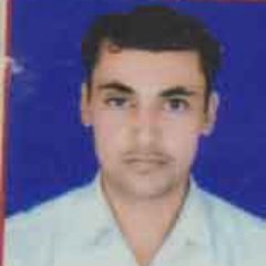 YogeshY54892440's profile picture. 