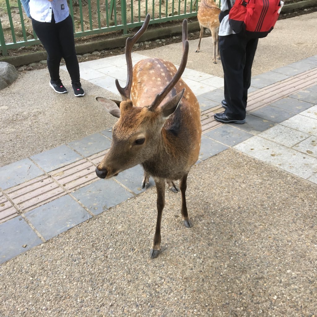 ファンタジスタさんのプロフィール画像