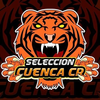 Seleccion Provincial de Cuenca, actualmente jugando la @CProvincias_CR y la @OptimusLeague 
Capitanes: @raulmoskycr y @putokiller99