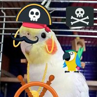 ピノちゃんママ (@mikoandpino) Twitter profile photo