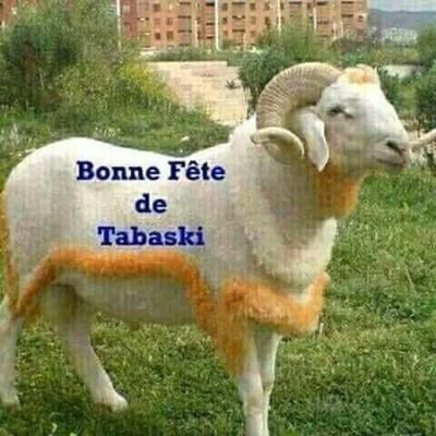 moctar diakite je suis malien