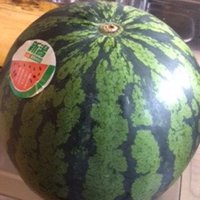 高宮ニカ (@kurukuruponko) 's Twitter Profile