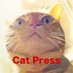 Cat Press (@CAT_PRESS) Twitter profile photo