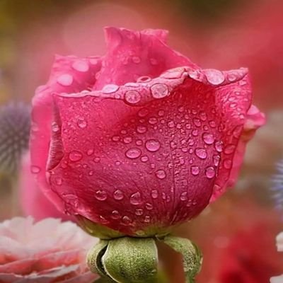 bastet54's profile picture. Retired boomer, former bank compliance officer, catching up on reading pile and stash of crafts!! UMich 1976! Go Blue!