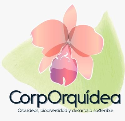 corp_orquidea's profile picture. Orquídeas, biodiversidad y desarrollo sostenible