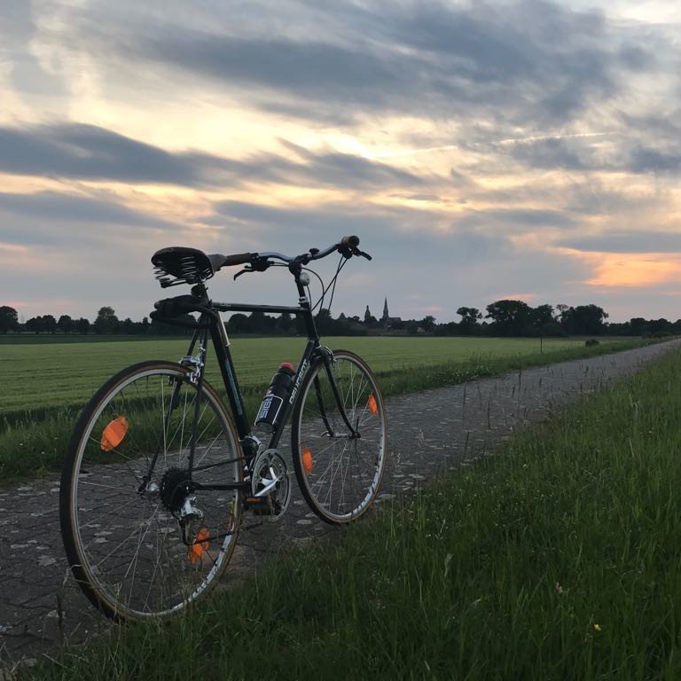 DStartwork's profile picture. 