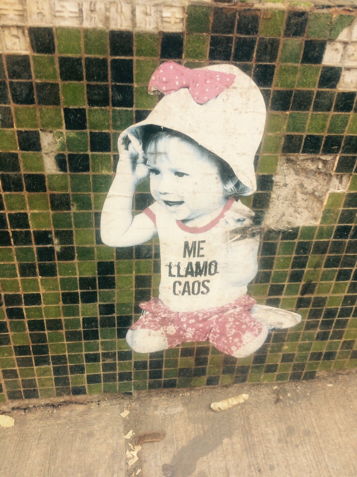 LeaNewfarmer's profile picture. All views expressed are personal. International law, political science, human rights. Raised in DC, educated in Minnesota and New York, working in Chile.