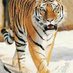 ابوصخر (@pgewsc1speilqyx) Twitter profile photo ابوصخر (@pgewsc1speilqyx) Twitter profile photo