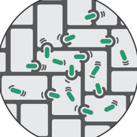 Becky Lamason (@lamasonlab) 's Twitter Profile Photo Becky Lamason (@lamasonlab) 's Twitter Profile Photo