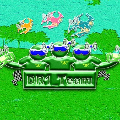 DR1 Team Profile