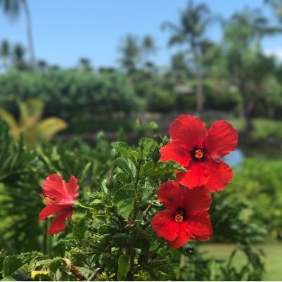 A monthly gathering for people who want to build lives & communities rooted in Aloha– filled with greater presence, grace, harmony, and purpose.